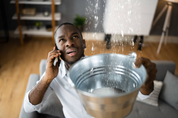 Best Sewage cleanup and water damage restoration  in Olga, FL