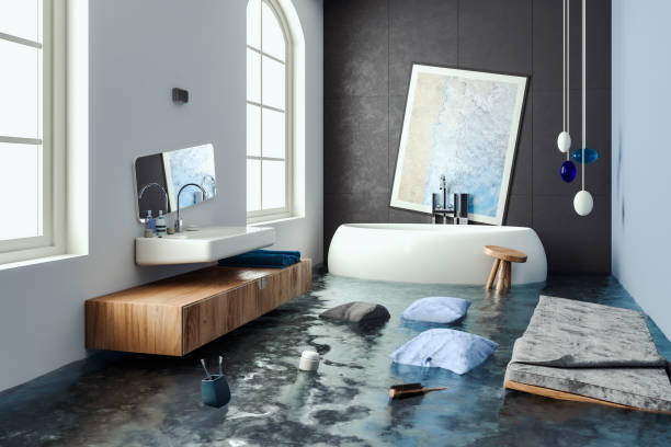 Best 24/7 water damage repair  in Olga, FL