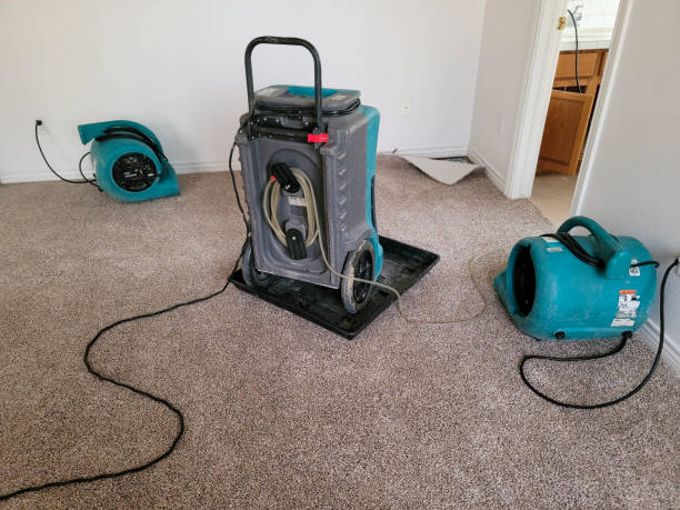Best Professional water damage repair  in Olga, FL