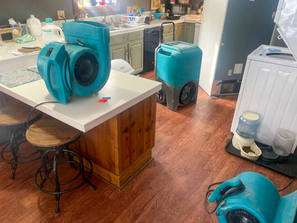 Water damage restoration insurance claims in FL