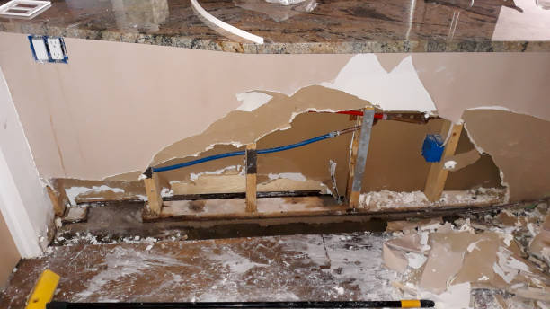 Best Flood restoration services  in Olga, FL
