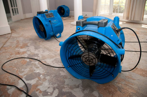 Best Emergency water damage restoration  in Olga, FL