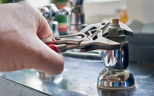 Best Flood restoration services  in Olga, FL
