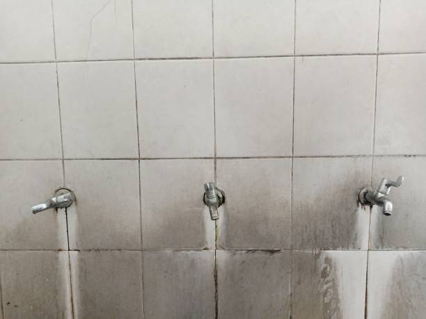 Best Sewage cleanup and water damage restoration  in Olga, FL