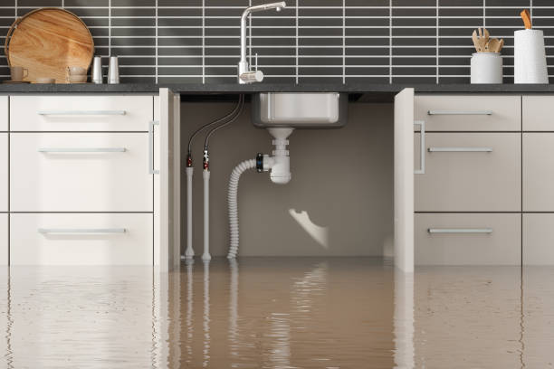 Best Water damage restoration near me  in Olga, FL